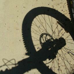 Frank Griffith Photo 11