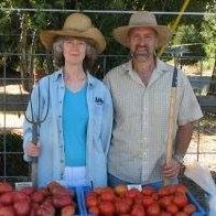 Carole Currier Photo 10