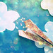 Ken Giang Photo 10