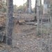 Ryan Lay Photo 28