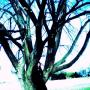 Peter Jacobs Photo 6