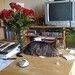 Christine Skidmore Photo 11