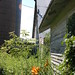 Cheryl Land Photo 16