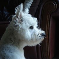 Lisa Symonds Photo 13