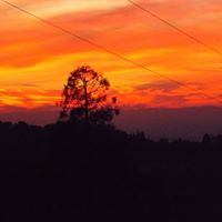 Diana Delaney Photo 9