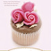 Sarah Sweet Photo 16