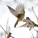 Robin Angers Photo 1
