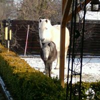 Lisa Hinz Photo 23