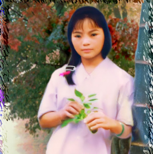 Phan Trinh Photo 16