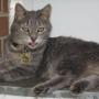 Christine Chisholm Photo 19