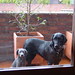Martina Terrazas Photo 9