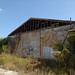 George Vaughn Photo 9