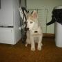 Vicki Arnold Photo 10