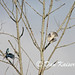 Jay Sharp Photo 10