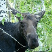 Bryan Debolt Photo 3