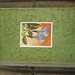 Raymond Borges Photo 11