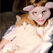 Heather Simons Photo 43