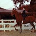 Shannon Williamson Photo 24