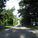 Alyce Hill Photo 13