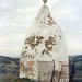 Nancy Hall Photo 17