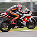 Stuart Wilson Photo 46