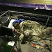 Rick Roberson Photo 19