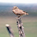 Kenneth Haskell Photo 18