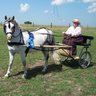 Jerry Plummer Photo 27