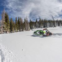 Mark Dillon Photo 31