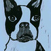 Pete Block Photo 10