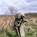 Lynn Harding Photo 9