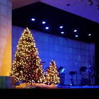 Cynthia Lantz Photo 14