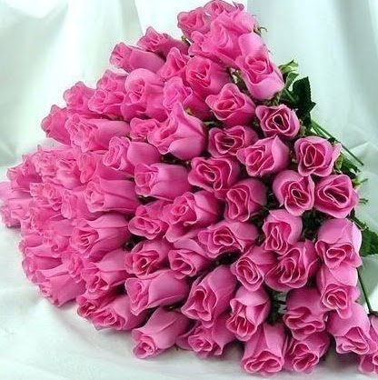 Rose Austin Photo 10