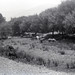 Victoria Morse Photo 18