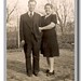 Susan Coulter Photo 16