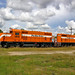 Joseph Dees Photo 19