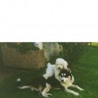 Robert Andress Photo 11
