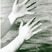 Edward Fenton Photo 16