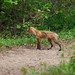 Karen Goad Photo 7