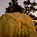 Dawn Hanson Photo 37