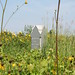 Kent Irwin Photo 16
