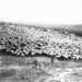 John Fletcher Photo 41