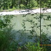 Wiley Meadows Photo 5