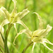 Janice Lilly Photo 5