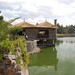 Debra Addis Photo 5