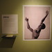 Allan Gray Photo 30