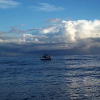 Stephen Kimber Photo 8