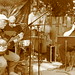 Dennis Forrest Photo 15