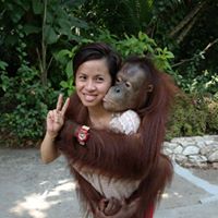 Fan Sun Photo 26