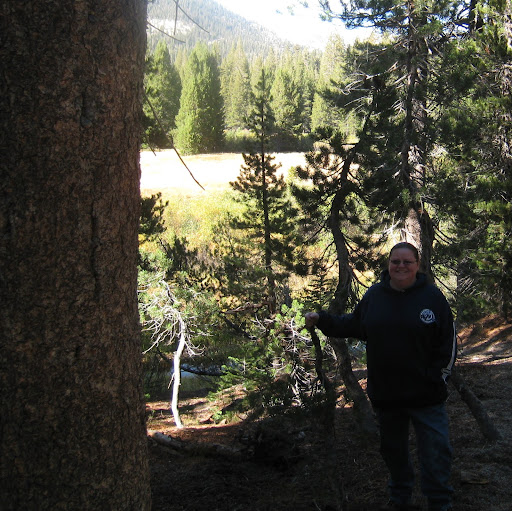 Debbie Hutton Photo 10